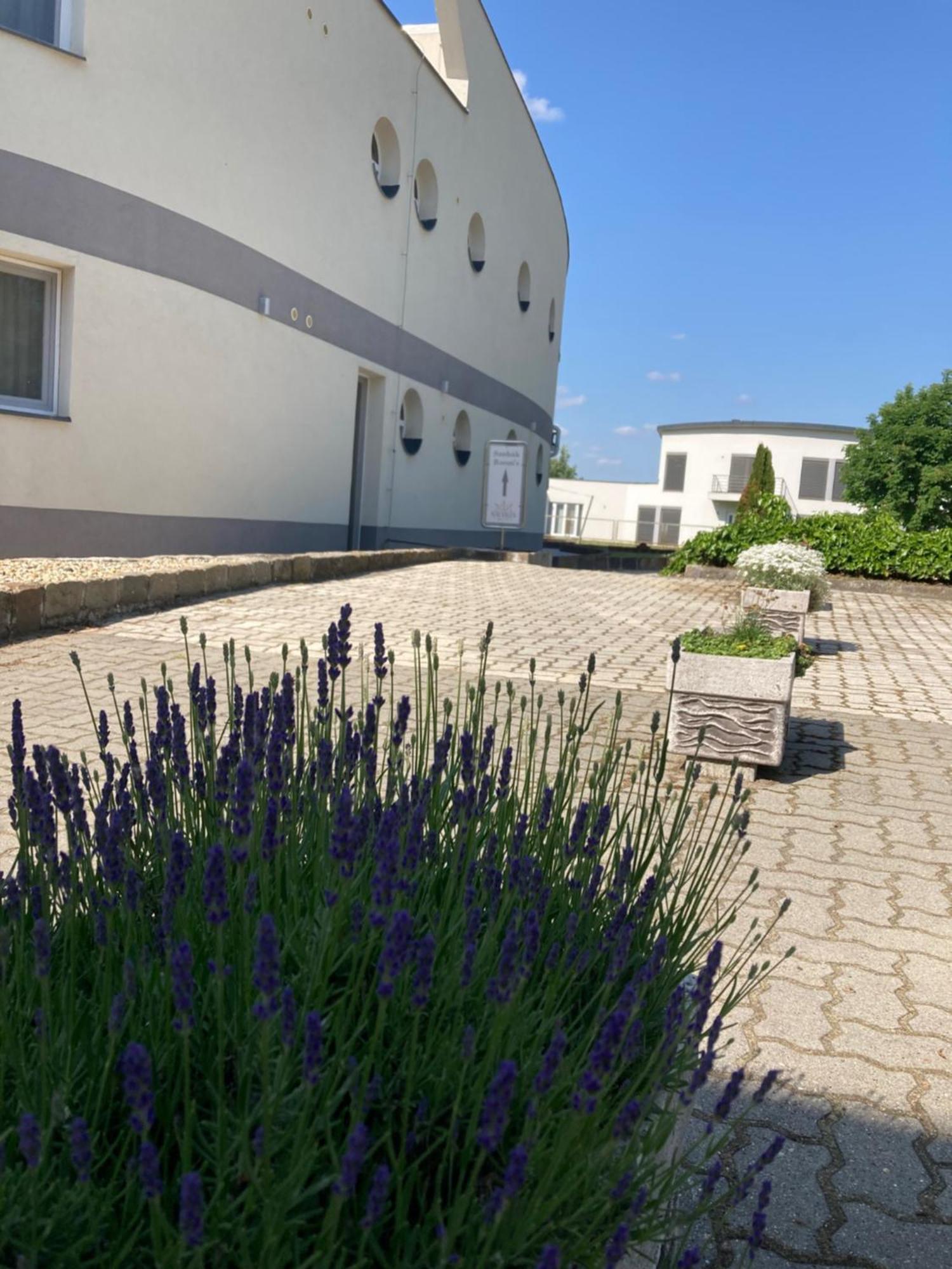 Nautilus Etterem Es Panzio Otel Dabas Dış mekan fotoğraf